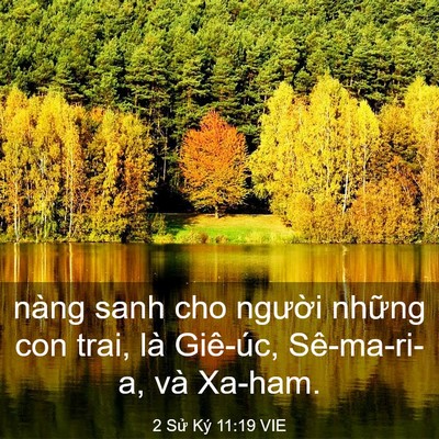Picture 03 - 2 Sử Ký 11:19 VIE - nàng sanh cho người những con trai, là - Bible Verse Picture