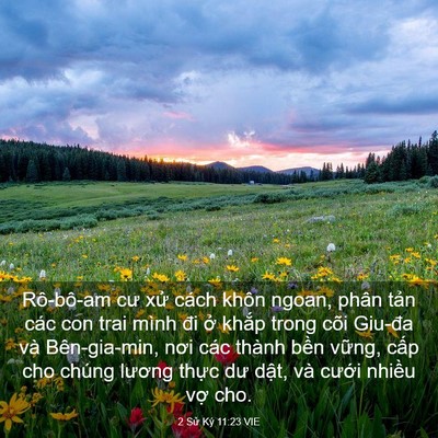 Picture 03 - 2 Sử Ký 11:23 VIE - Rô-bô-am cư xử cách khôn ngoan, phân - Bible Verse Picture
