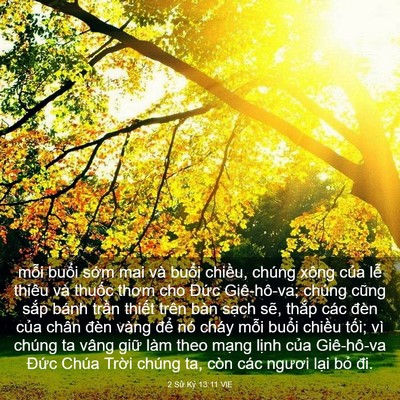 Picture 03 - 2 Sử Ký 13:11 VIE - mỗi buổi sớm mai và buổi chiều, chúng - Bible Verse Picture