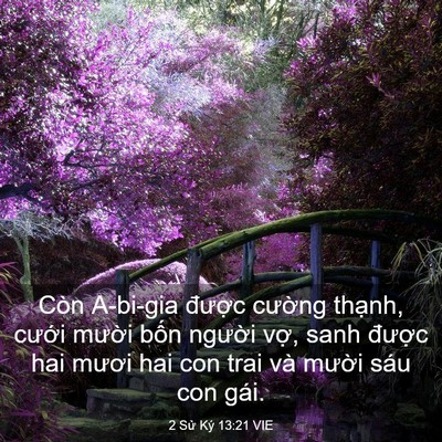 Picture 03 - 2 Sử Ký 13:21 VIE - Còn A-bi-gia được cường thạnh, cưới - Bible Verse Picture
