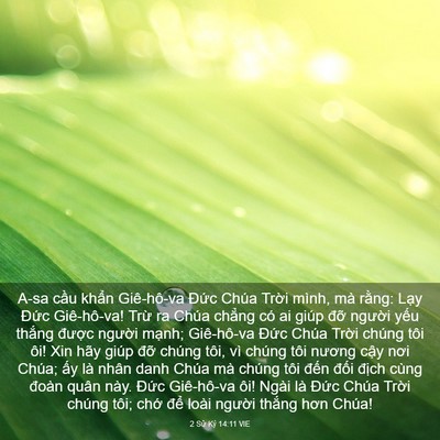 Picture 03 - 2 Sử Ký 14:11 VIE - A-sa cầu khẩn Giê-hô-va Đức Chúa Trời - Bible Verse Picture
