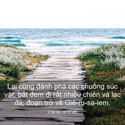 Picture 03 - 2 Sử Ký 14:15 VIE - Lại cũng đánh phá các chuồng súc vật, - Bible Verse Picture