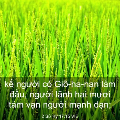Picture 03 - 2 Sử Ký 17:15 VIE - kế người có Giô-ha-nan làm đầu, - Bible Verse Picture
