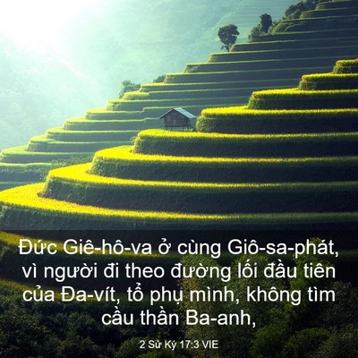 Picture 03 - 2 Sử Ký 17:3 VIE - Đức Giê-hô-va ở cùng Giô-sa-phát, vì - Bible Verse Picture