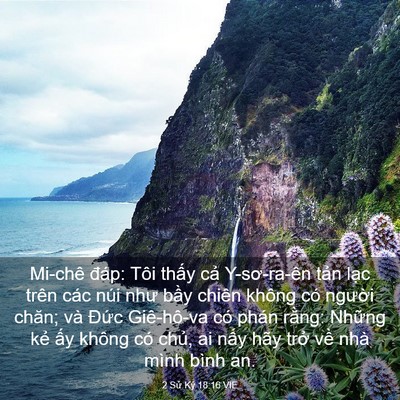 Picture 03 - 2 Sử Ký 18:16 VIE - Mi-chê đáp: Tôi thấy cả Y-sơ-ra-ên - Bible Verse Picture