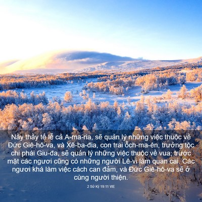 Picture 03 - 2 Sử Ký 19:11 VIE - Nầy thầy tế lễ cả A-ma-ria, sẽ quản - Bible Verse Picture