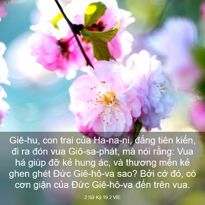 Picture 03 - 2 Sử Ký 19:2 VIE - Giê-hu, con trai của Ha-na-ni, đấng tiên - Bible Verse Picture