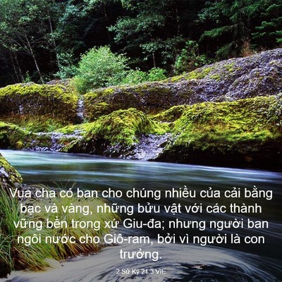 Picture 03 - 2 Sử Ký 21:3 VIE - Vua cha có ban cho chúng nhiều của cải - Bible Verse Picture