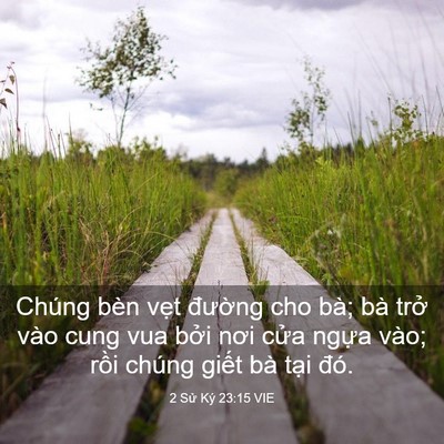 Picture 03 - 2 Sử Ký 23:15 VIE - Chúng bèn vẹt đường cho bà; bà trở - Bible Verse Picture