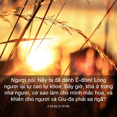 Picture 03 - 2 Sử Ký 25:19 VIE - Ngươi nói: Nầy ta đã đánh Ê-đôm! - Bible Verse Picture