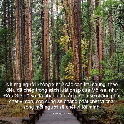 Picture 03 - 2 Sử Ký 25:4 VIE - Nhưng người không xử tử các con trai - Bible Verse Picture