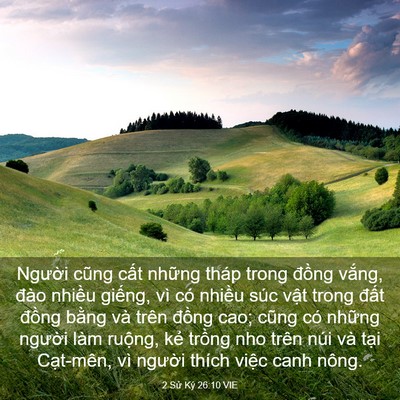 Picture 03 - 2 Sử Ký 26:10 VIE - Người cũng cất những tháp trong đồng - Bible Verse Picture