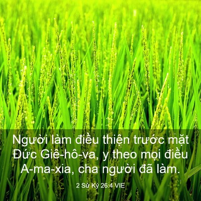 Picture 03 - 2 Sử Ký 26:4 VIE - Người làm điều thiện trước mặt - Bible Verse Picture