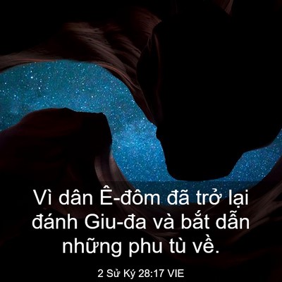 Picture 03 - 2 Sử Ký 28:17 VIE - Vì dân Ê-đôm đã trở lại đánh Giu-đa - Bible Verse Picture