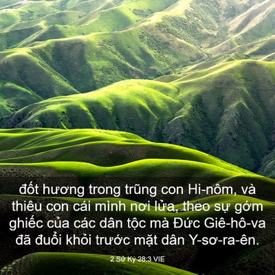Picture 03 - 2 Sử Ký 28:3 VIE - đốt hương trong trũng con Hi-nôm, và - Bible Verse Picture