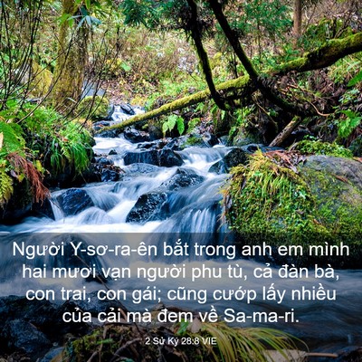 Picture 03 - 2 Sử Ký 28:8 VIE - Người Y-sơ-ra-ên bắt trong anh em mình - Bible Verse Picture