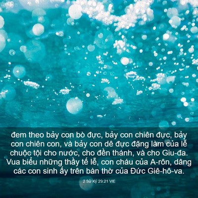 Picture 03 - 2 Sử Ký 29:21 VIE - đem theo bảy con bò đực, bảy con chiên - Bible Verse Picture