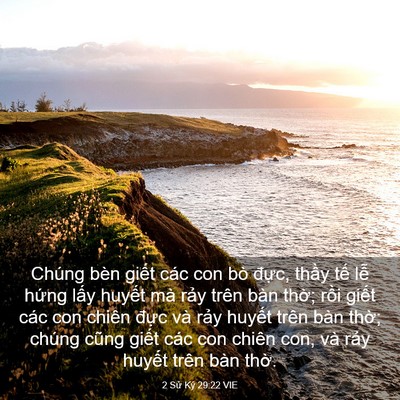 Picture 03 - 2 Sử Ký 29:22 VIE - Chúng bèn giết các con bò đực, thầy - Bible Verse Picture