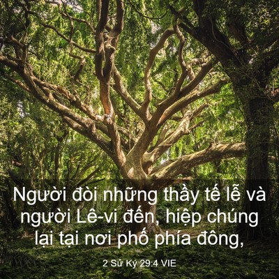 Picture 03 - 2 Sử Ký 29:4 VIE - Người đòi những thầy tế lễ và - Bible Verse Picture