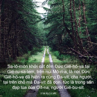 Picture 03 - 2 Sử Ký 3:1 VIE - Sa-lô-môn khởi cất đền Đức - Bible Verse Picture