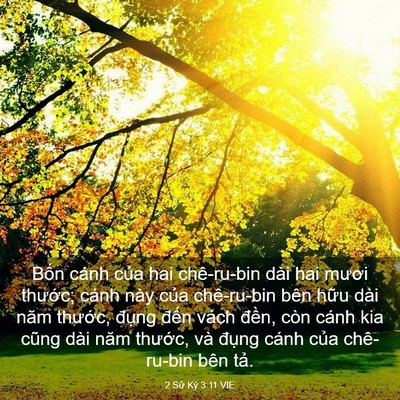 Picture 03 - 2 Sử Ký 3:11 VIE - Bốn cánh của hai chê-ru-bin dài hai mươi - Bible Verse Picture