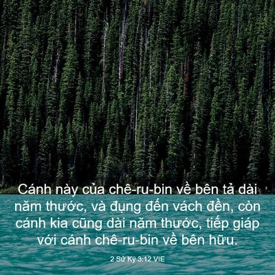 Picture 03 - 2 Sử Ký 3:12 VIE - Cánh này của chê-ru-bin về bên tả dài - Bible Verse Picture