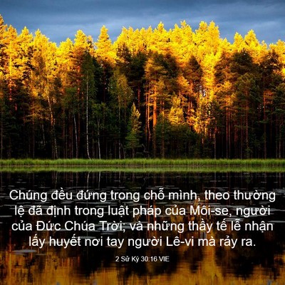Picture 03 - 2 Sử Ký 30:16 VIE - Chúng đều đứng trong chỗ mình, theo - Bible Verse Picture
