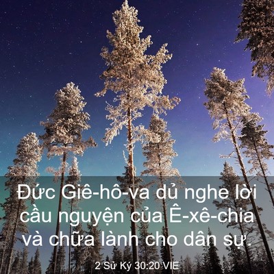 Picture 03 - 2 Sử Ký 30:20 VIE - Đức Giê-hô-va dủ nghe lời cầu nguyện - Bible Verse Picture
