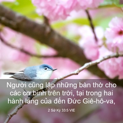 Picture 03 - 2 Sử Ký 33:5 VIE - Người cũng lập những bàn thờ cho các - Bible Verse Picture