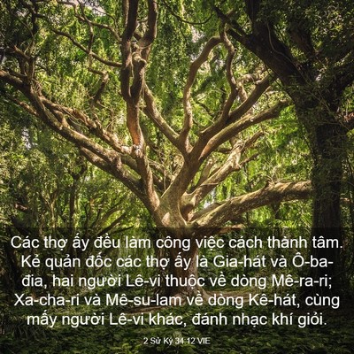 Picture 03 - 2 Sử Ký 34:12 VIE - Các thợ ấy đều làm công việc cách - Bible Verse Picture
