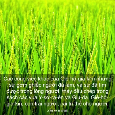 Picture 03 - 2 Sử Ký 36:8 VIE - Các công việc khác của Giê-hô-gia-kim - Bible Verse Picture