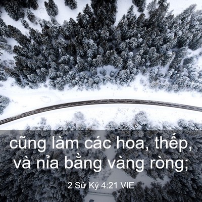 Picture 03 - 2 Sử Ký 4:21 VIE - cũng làm các hoa, thếp, và nỉa bằng - Bible Verse Picture