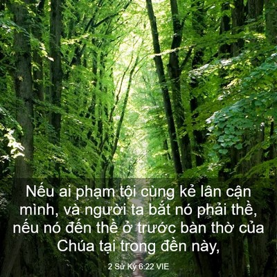 Picture 03 - 2 Sử Ký 6:22 VIE - Nếu ai phạm tội cùng kẻ lân cận - Bible Verse Picture