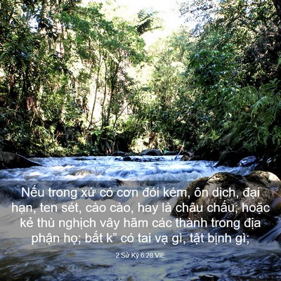 Picture 03 - 2 Sử Ký 6:28 VIE - Nếu trong xứ có cơn đói kém, ôn dịch, - Bible Verse Picture