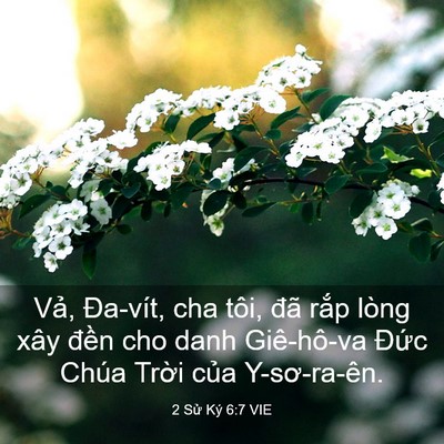 Picture 03 - 2 Sử Ký 6:7 VIE - Vả, Đa-vít, cha tôi, đã rắp lòng xây - Bible Verse Picture