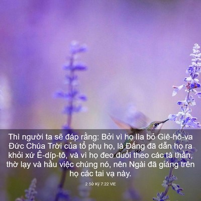 Picture 03 - 2 Sử Ký 7:22 VIE - Thì người ta sẽ đáp rằng: Bởi vì - Bible Verse Picture