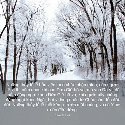 Picture 03 - 2 Sử Ký 7:6 VIE - Những thầy tế lễ hầu việc theo chức - Bible Verse Picture