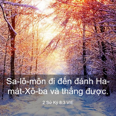 Picture 03 - 2 Sử Ký 8:3 VIE - Sa-lô-môn đi đến đánh Ha-mát-Xô-ba và - Bible Verse Picture