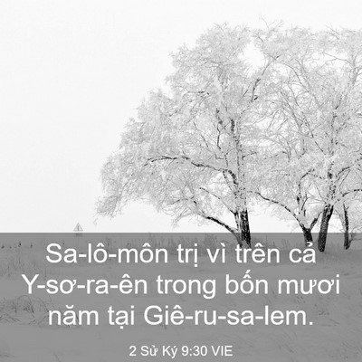 Picture 03 - 2 Sử Ký 9:30 VIE - Sa-lô-môn trị vì trên cả Y-sơ-ra-ên - Bible Verse Picture