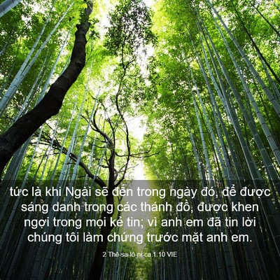 Picture 03 - 2 Thê-sa-lô-ni-ca 1:10 VIE - tức là khi Ngài sẽ đến trong ngày đó, - Bible Verse Picture