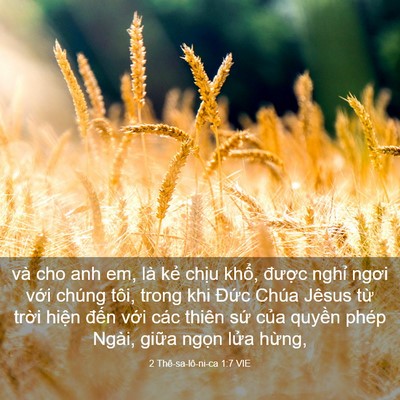 Picture 03 - 2 Thê-sa-lô-ni-ca 1:7 VIE - và cho anh em, là kẻ chịu khổ, được - Bible Verse Picture