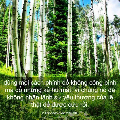 Picture 03 - 2 Thê-sa-lô-ni-ca 2:10 VIE - dùng mọi cách phỉnh dổ không công bình - Bible Verse Picture