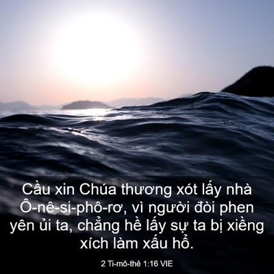 Picture 03 - 2 Ti-mô-thê 1:16 VIE - Cầu xin Chúa thương xót lấy nhà - Bible Verse Picture