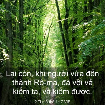 Picture 03 - 2 Ti-mô-thê 1:17 VIE - Lại còn, khi người vừa đến thành - Bible Verse Picture