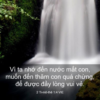Picture 03 - 2 Ti-mô-thê 1:4 VIE - Vì ta nhớ đến nước mắt con, muốn - Bible Verse Picture