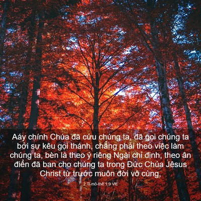 Picture 03 - 2 Ti-mô-thê 1:9 VIE - Aáy chính Chúa đã cứu chúng ta, đã - Bible Verse Picture