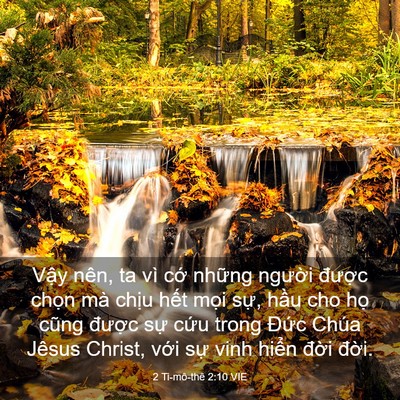 Picture 03 - 2 Ti-mô-thê 2:10 VIE - Vậy nên, ta vì cớ những người được - Bible Verse Picture