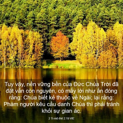 Picture 03 - 2 Ti-mô-thê 2:19 VIE - Tuy vậy, nền vững bền của Đức Chúa - Bible Verse Picture