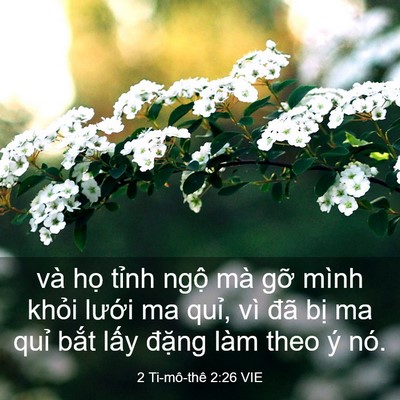 Picture 03 - 2 Ti-mô-thê 2:26 VIE - và họ tỉnh ngộ mà gỡ mình khỏi - Bible Verse Picture