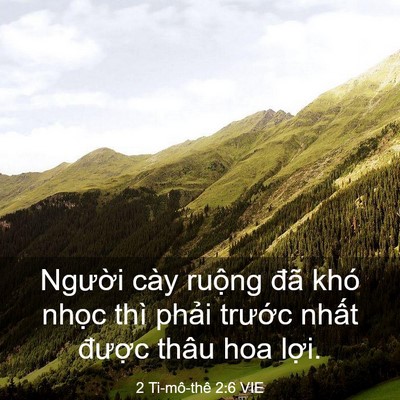 Picture 03 - 2 Ti-mô-thê 2:6 VIE - Người cày ruộng đã khó nhọc thì - Bible Verse Picture